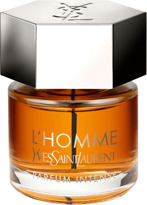 yves saint laurent intense notes|yves saint laurent intense homme.